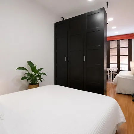 Apartment Estudio Con Dos Balcones Centro
